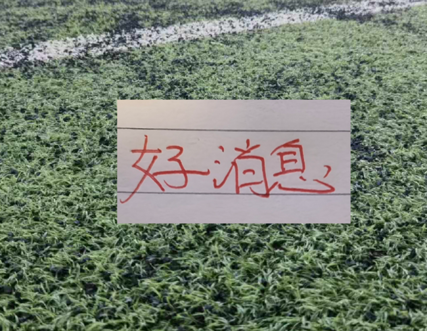 道伊尔高尔夫锦标赛第三轮单独领跑