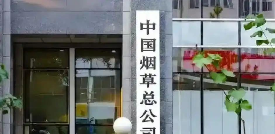 摩洛哥反击破门！破28年魔咒，塞巴里世界杯处子球，迪亚斯妙传